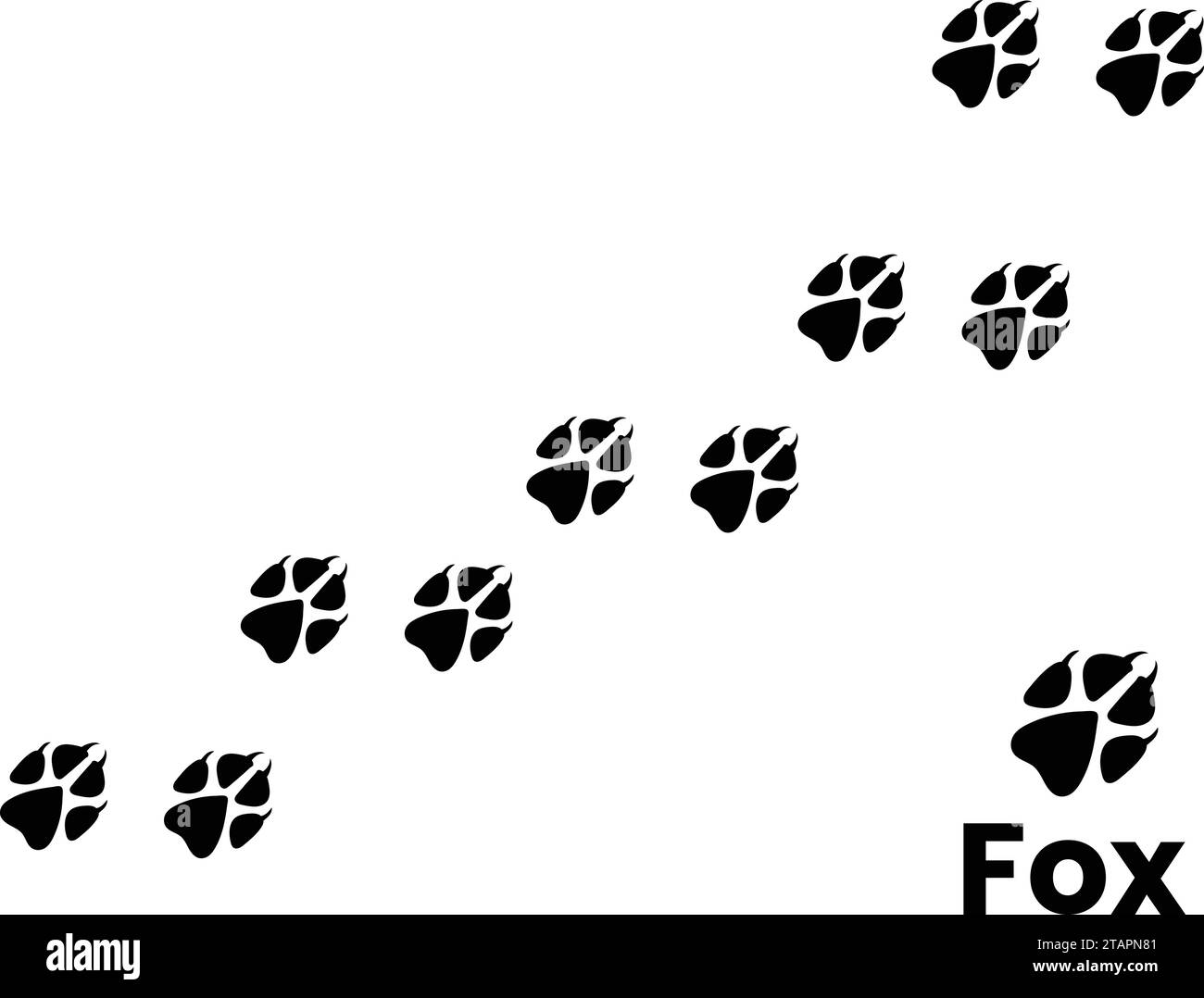 Fox Paw Print Trail-Symbol. Katze oder Hund Fußabdruck Track Symbole Vektorsatz gesetzt. Schwarz-weiß. Isolierte Vektordarstellung. Pfoten-Silhouette. Stock Vektor