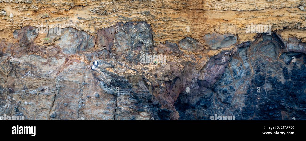 Scharfer Kontakt zwischen hellen Kalksteinschichten und darunter liegendem dunklem Basalt an der Südostküste von Victoria, Australien. Stockfoto