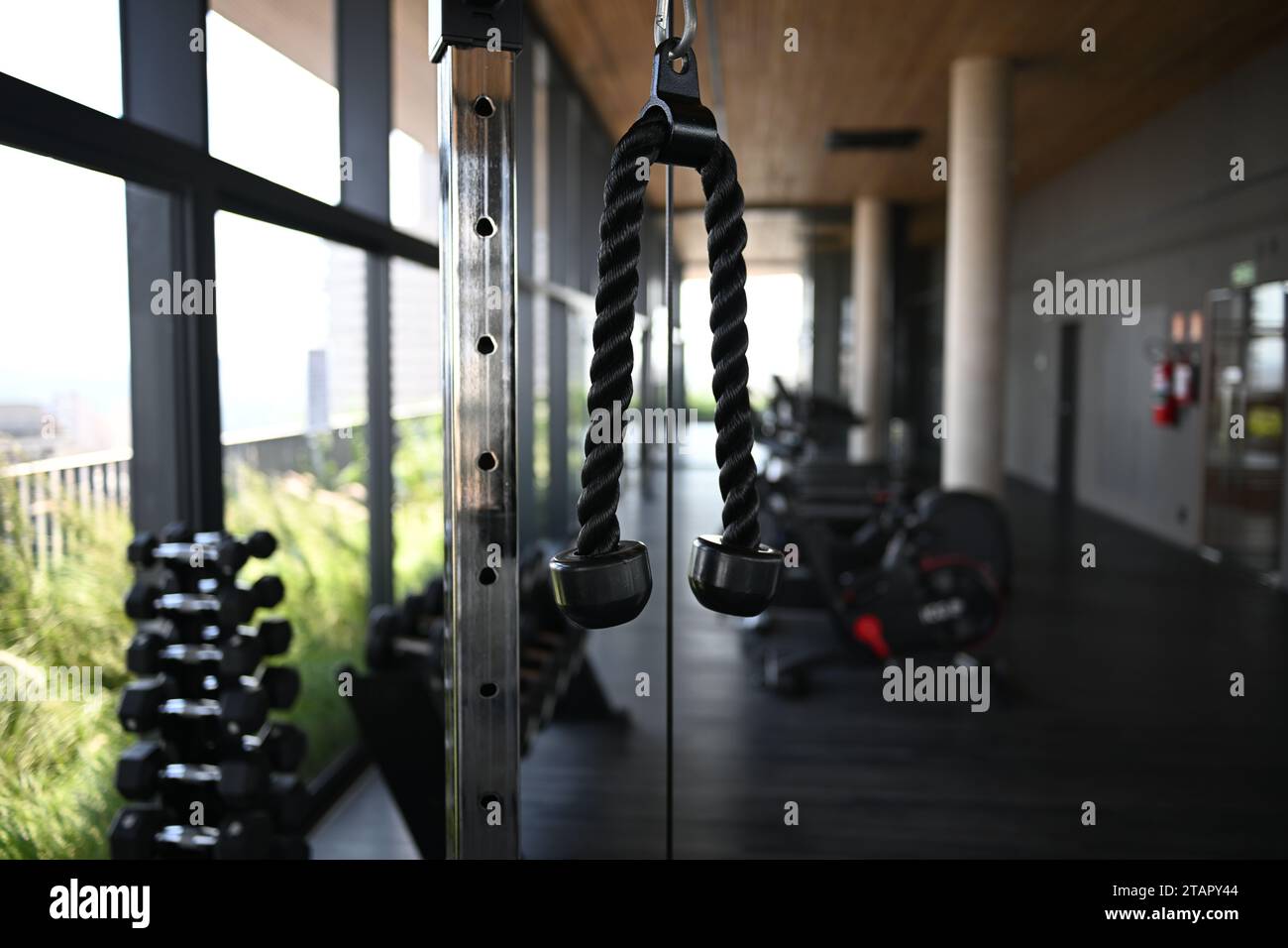 Fitness-Geräte Stockfoto