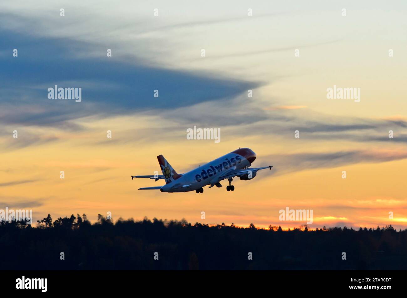Airbus der Fluggesellschaft Edelweiss Air nach dem Abflug in den Abendhimmel, Flughafen Zürich, Zürich, Schweiz Stockfoto