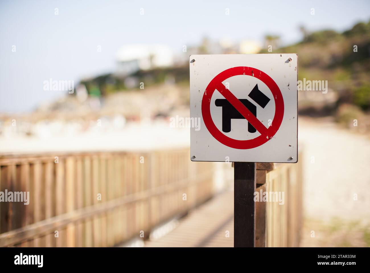 Rot und schwarz keine Hunde erlaubt Schild auf Holzweg zum Strand Stockfoto
