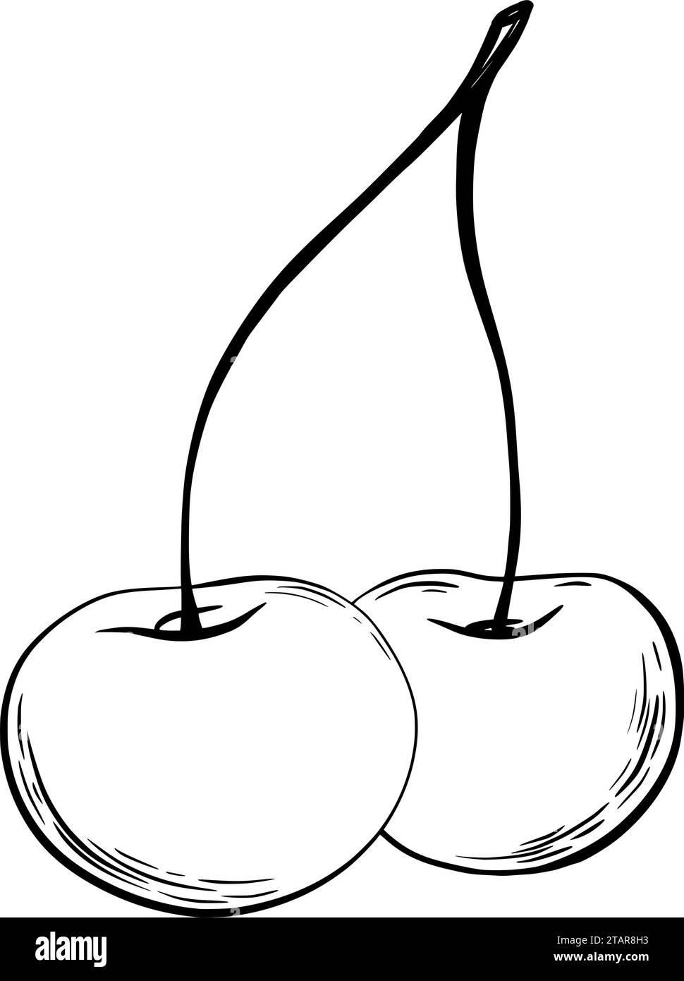 Kirschen zum Dekorieren von Süßwaren im grafischen Stil. Vektorabbildung. Handgezeichnet in einem einfachen minimalistischen Stil. Kann in der Küche verwendet werden Stock Vektor