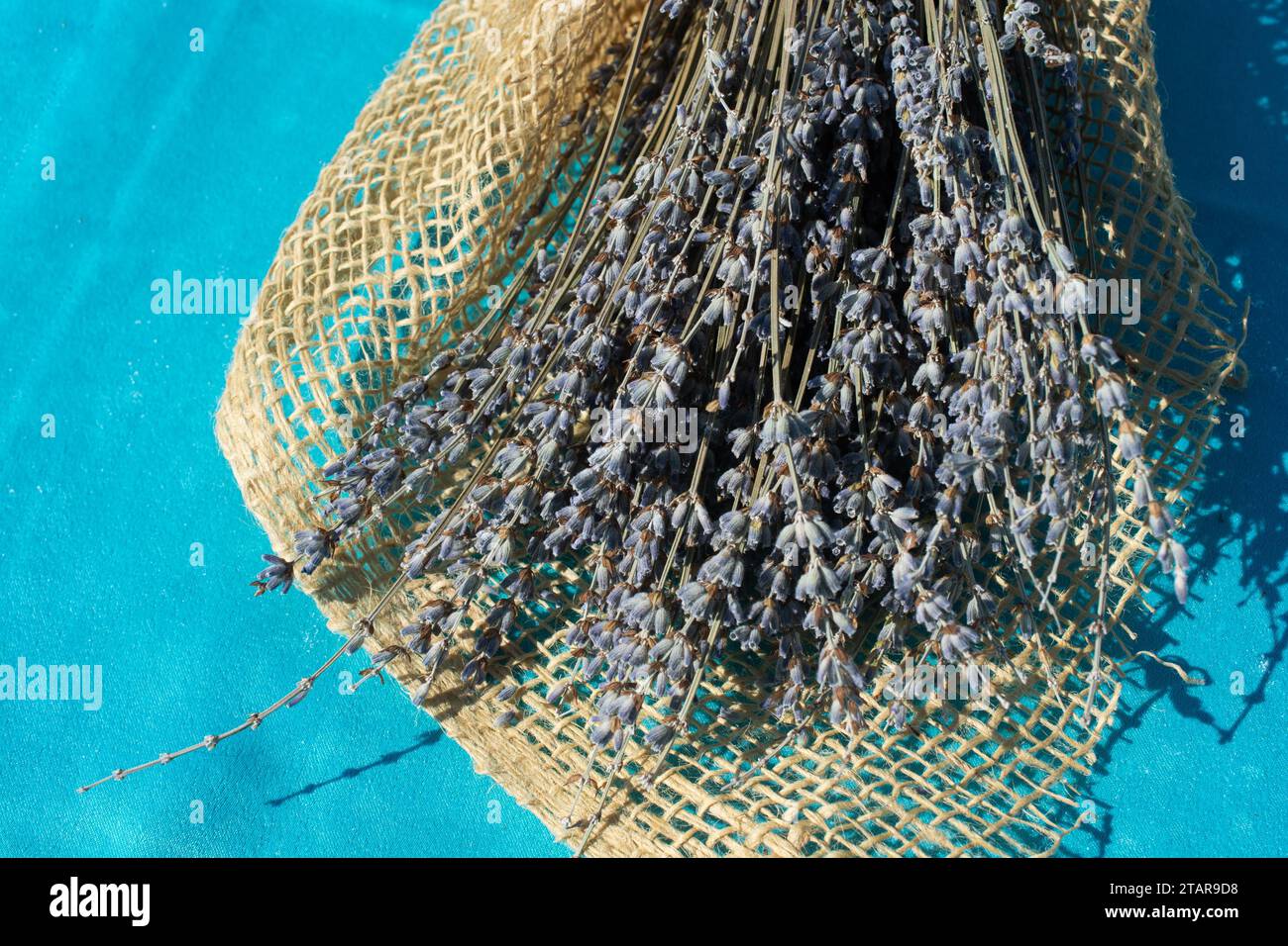 Getrocknete Lavendelblüten für medizinische und kosmetische Zwecke Stockfoto