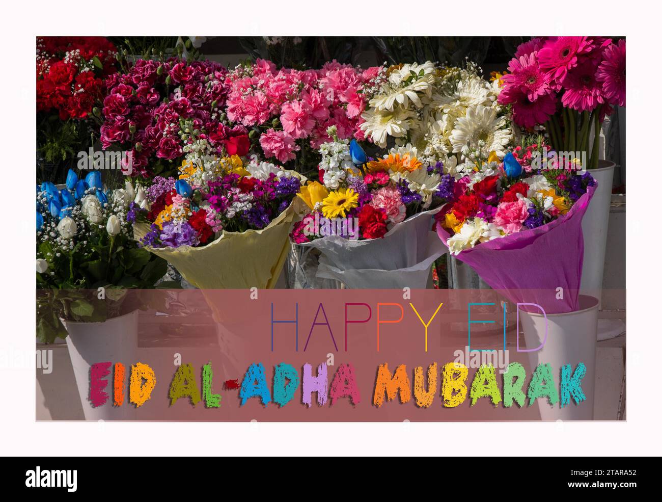 Frohes Eid al-Adha. Eid Mubarak Grußkarte. Islamisches Festival-Design Stockfoto