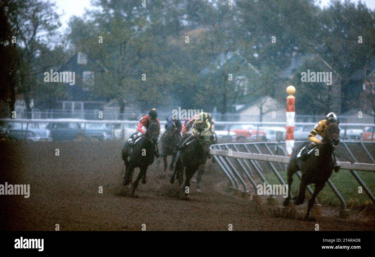 NEW YORK, NY - 1. OKTOBER: Jockey Bill Hartack an Bord der Tudor Era #8 Rennen um die Strecke während des Jockey Gold Cup 1959 am 1. Oktober 1959 auf der Aqueduct Racetrack in New York, New York. (Foto von Hy Peskin) *** Lokale Bildunterschrift *** Tudor Ära;Bill Hartack Stockfoto