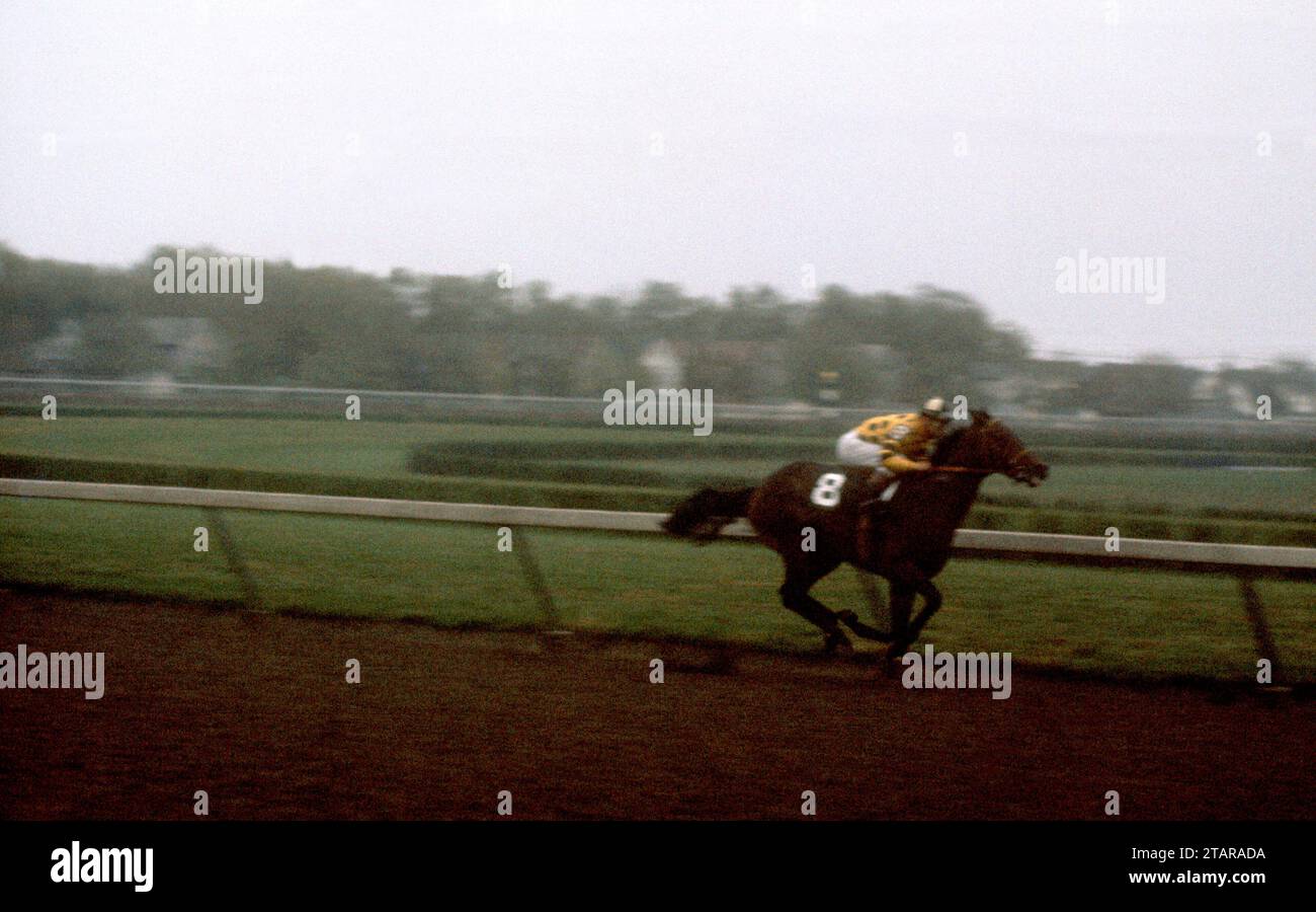 NEW YORK, NY - 1. OKTOBER: Jockey Bill Hartack an Bord der Tudor Era #8 Rennen um die Strecke während des Jockey Gold Cup 1959 am 1. Oktober 1959 auf der Aqueduct Racetrack in New York, New York. (Foto von Hy Peskin) *** Lokale Bildunterschrift *** Tudor Ära;Bill Hartack Stockfoto