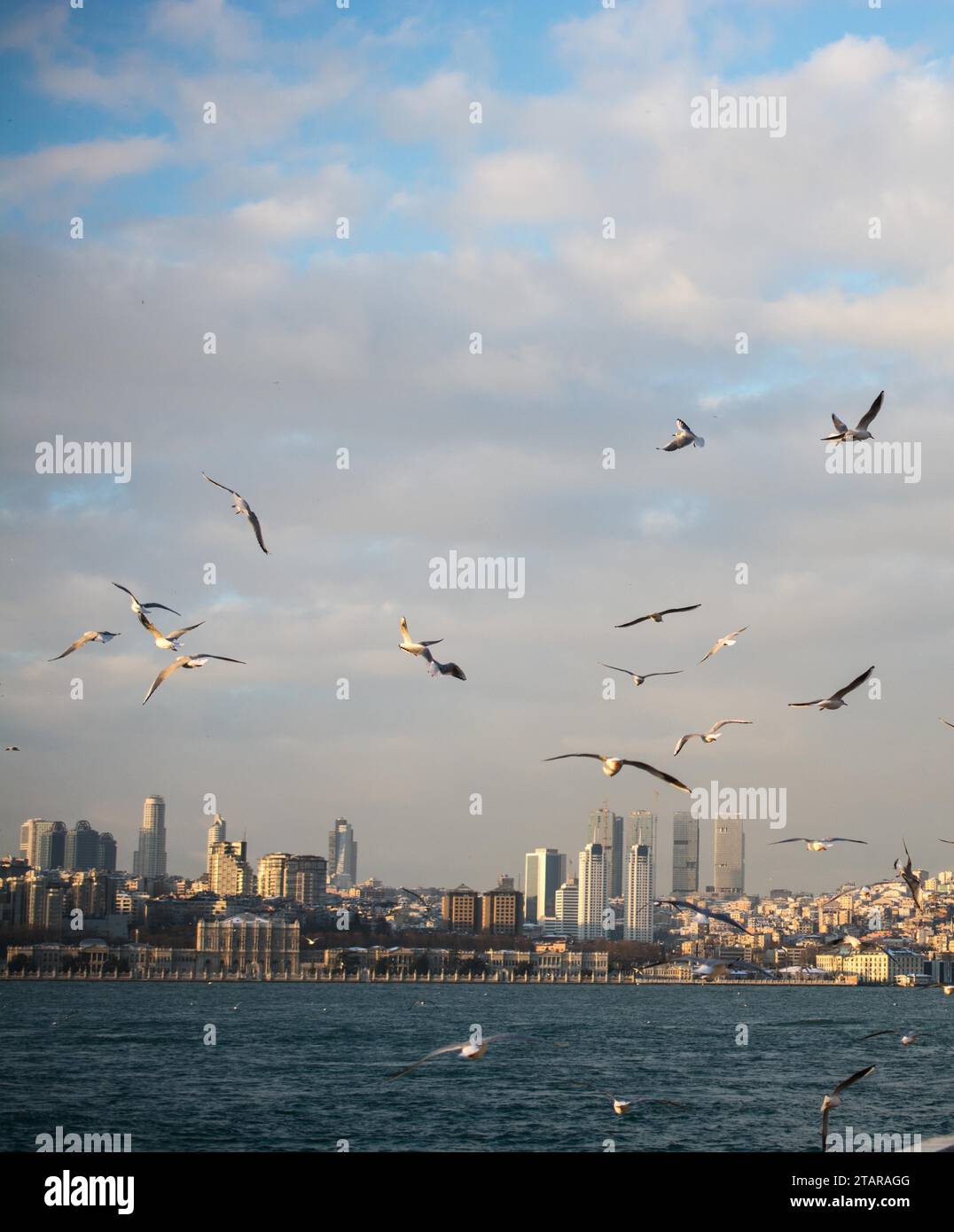 Blick vom Maiden-Turm am Abend, mit der Hagia Sophia und der Blauen Moschee in der Ferne Stockfoto