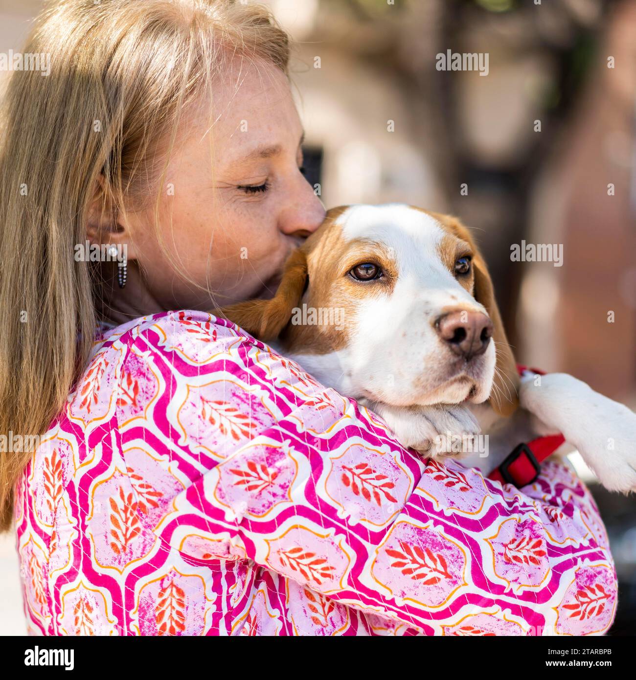 Blonde, mittelerwachsene Frau, die ihren Beagle-Hund küsst, während er wegschaut Stockfoto