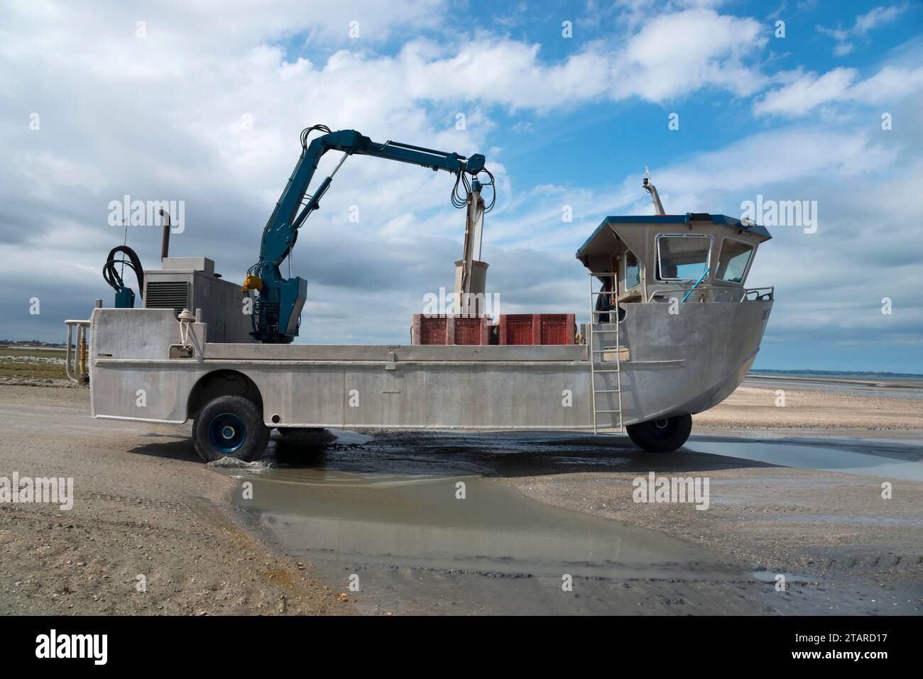 Amphibienfahrzeug auf dem Weg zur Muschelernte, Cherrueix, Bretagne, Frankreich Stockfoto