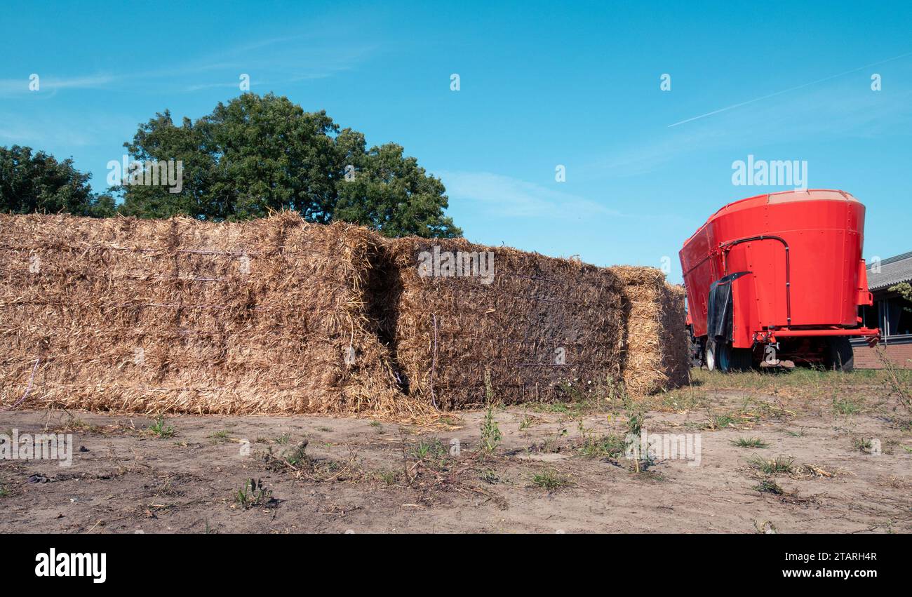 Milchtransportfahrzeug auf einem dänischen Landwirtschaftsbetrieb an einem sonnigen Tag Stockfoto
