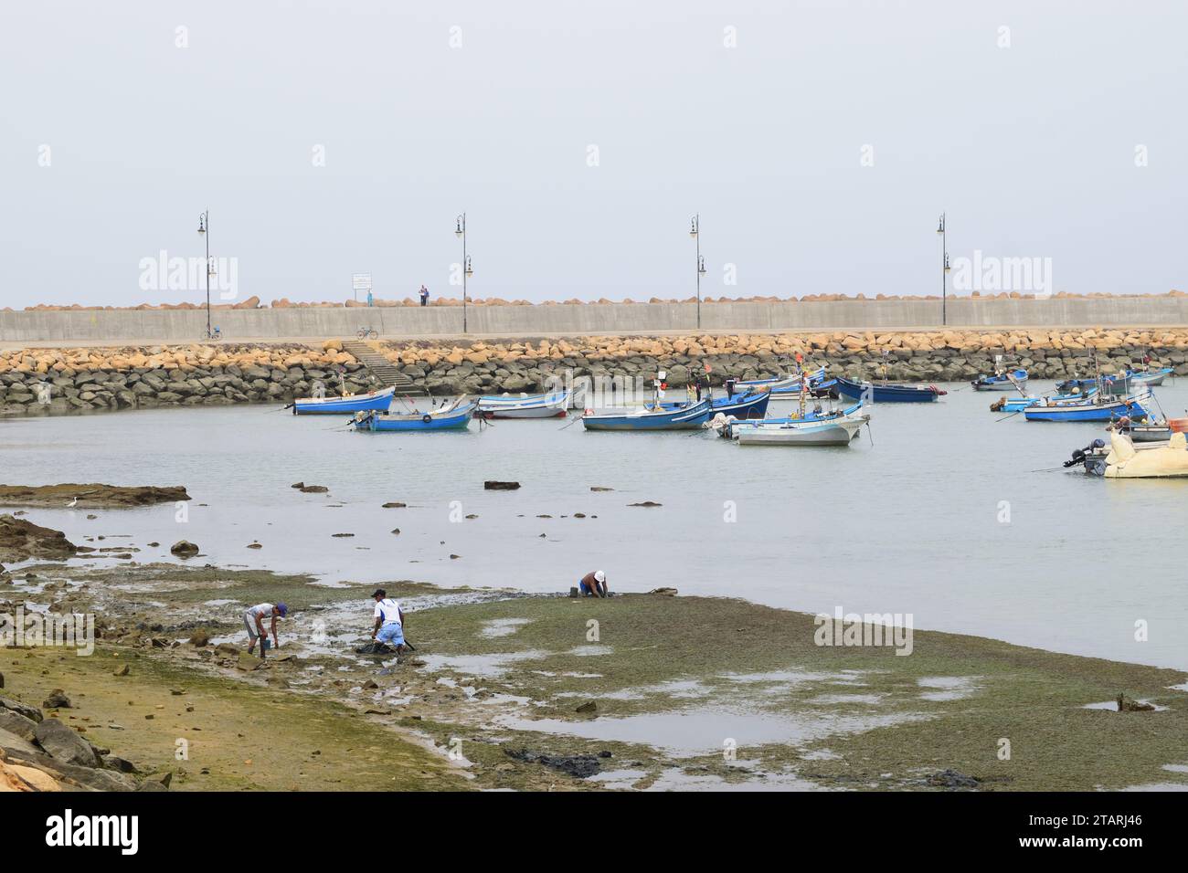 Unbearbeitetes Foto von Fischerbooten in einem Hafen bei nebeligem Wetter Stockfoto