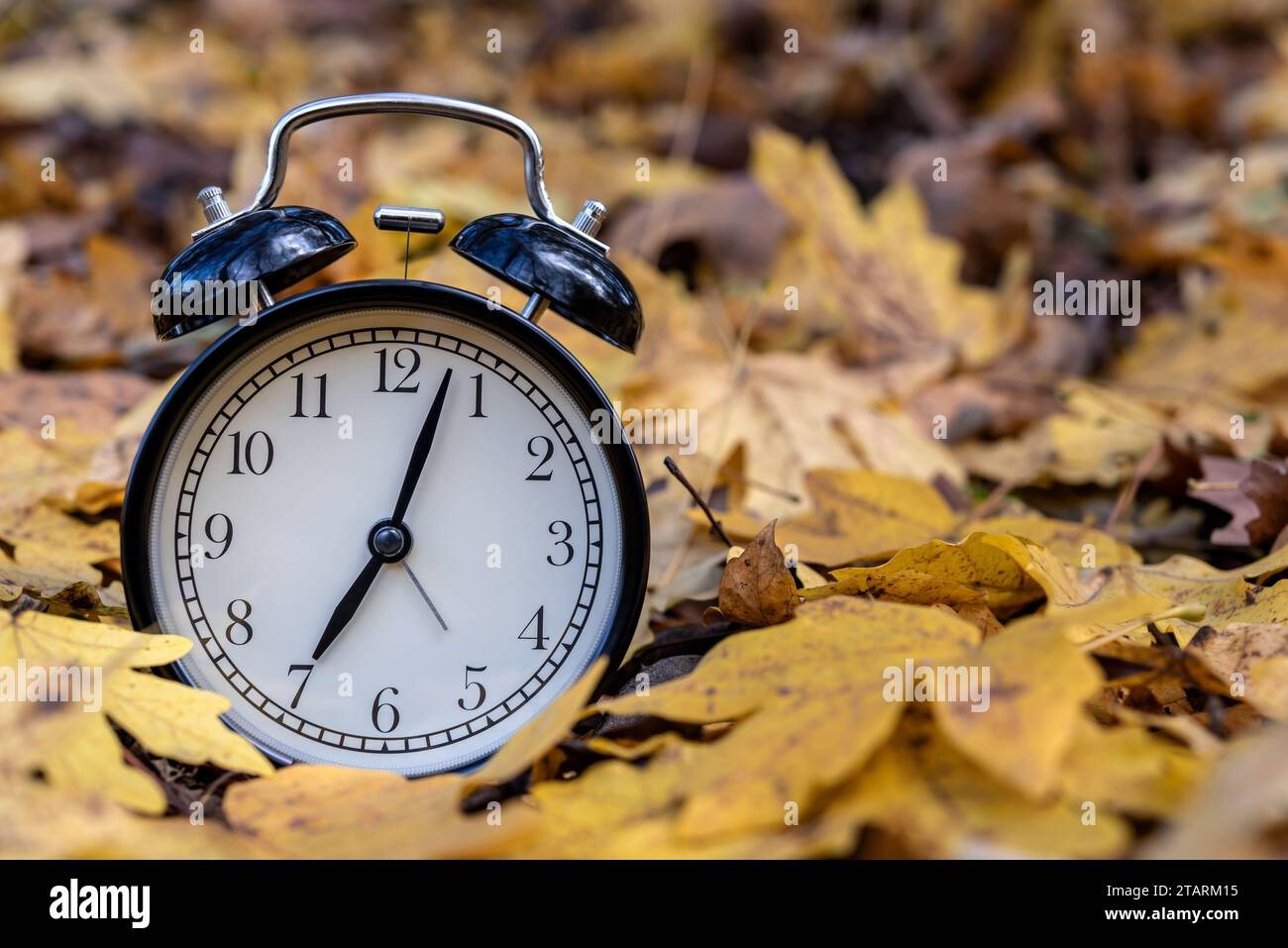 Vintage-Wecker auf gefallenen trockenen Blättern im Herbstpark mit Kopierraum für Text. Stockfoto