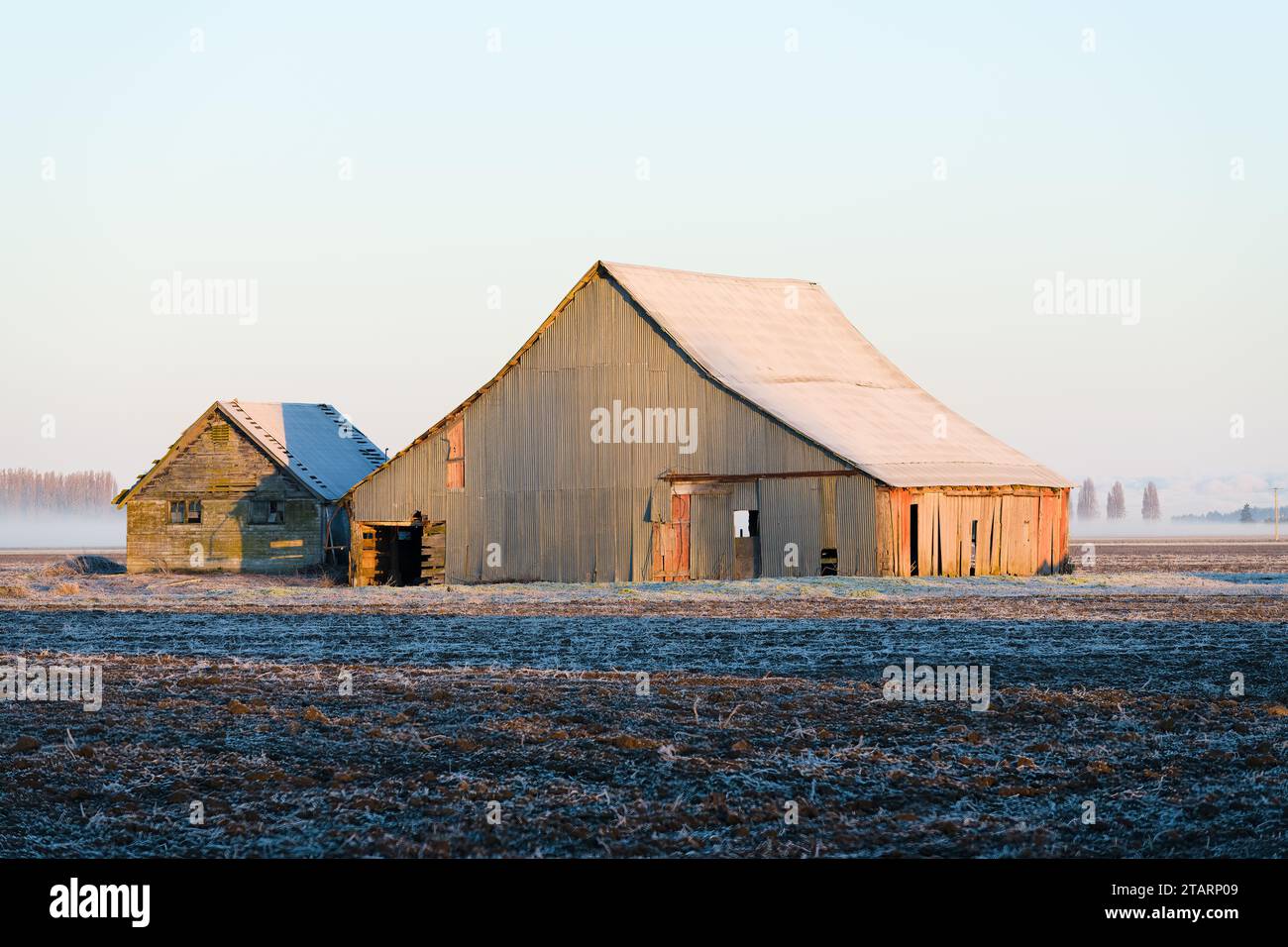 Mount Vernon, WA, USA - 28. November 2023; Paar alter Bauernhöfe an kalten und frostigen Morgen im Skagit Valley Stockfoto