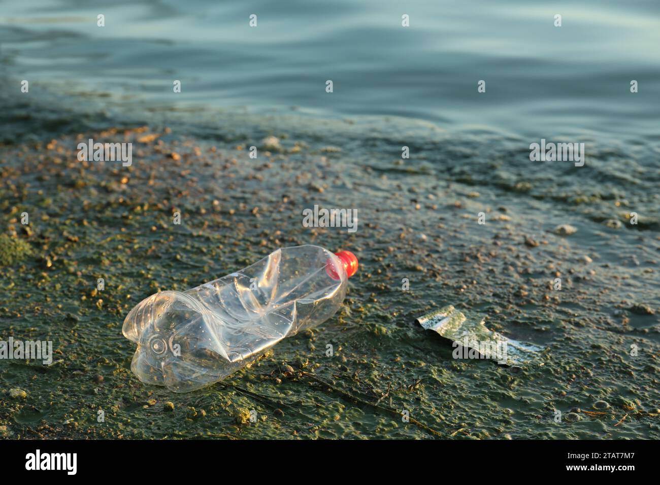 Benutzte Plastikflasche in der Nähe des Wassers am Strand, Platz für Text. Umweltverschmutzung Stockfoto