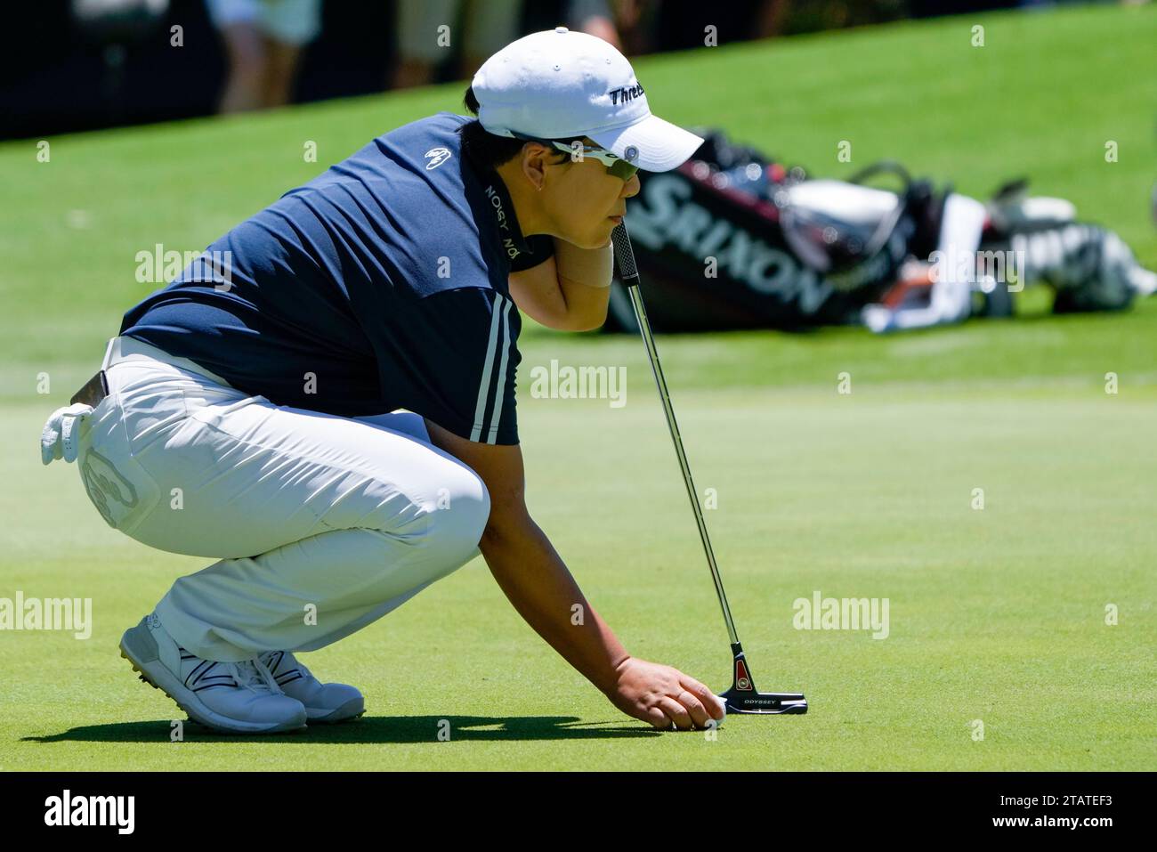 South Korea's Jiyai Shin lines up her ball on the second green during the final round of the Australian Open Golf Championship at the Australian Golf Club in Sydney, Australia, Sunday, Dec. 3, 2023. (AP Photo/Mark Baker) Stockfoto