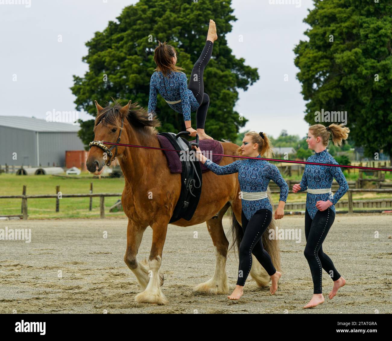 Marchwood Park, Motueka, Tasman District, Aotearoa / Neuseeland – 2. Dezember 2023: Motueka A und P Show. Von der Community organisierte Veranstaltung ohne Ticket, keine PR Stockfoto