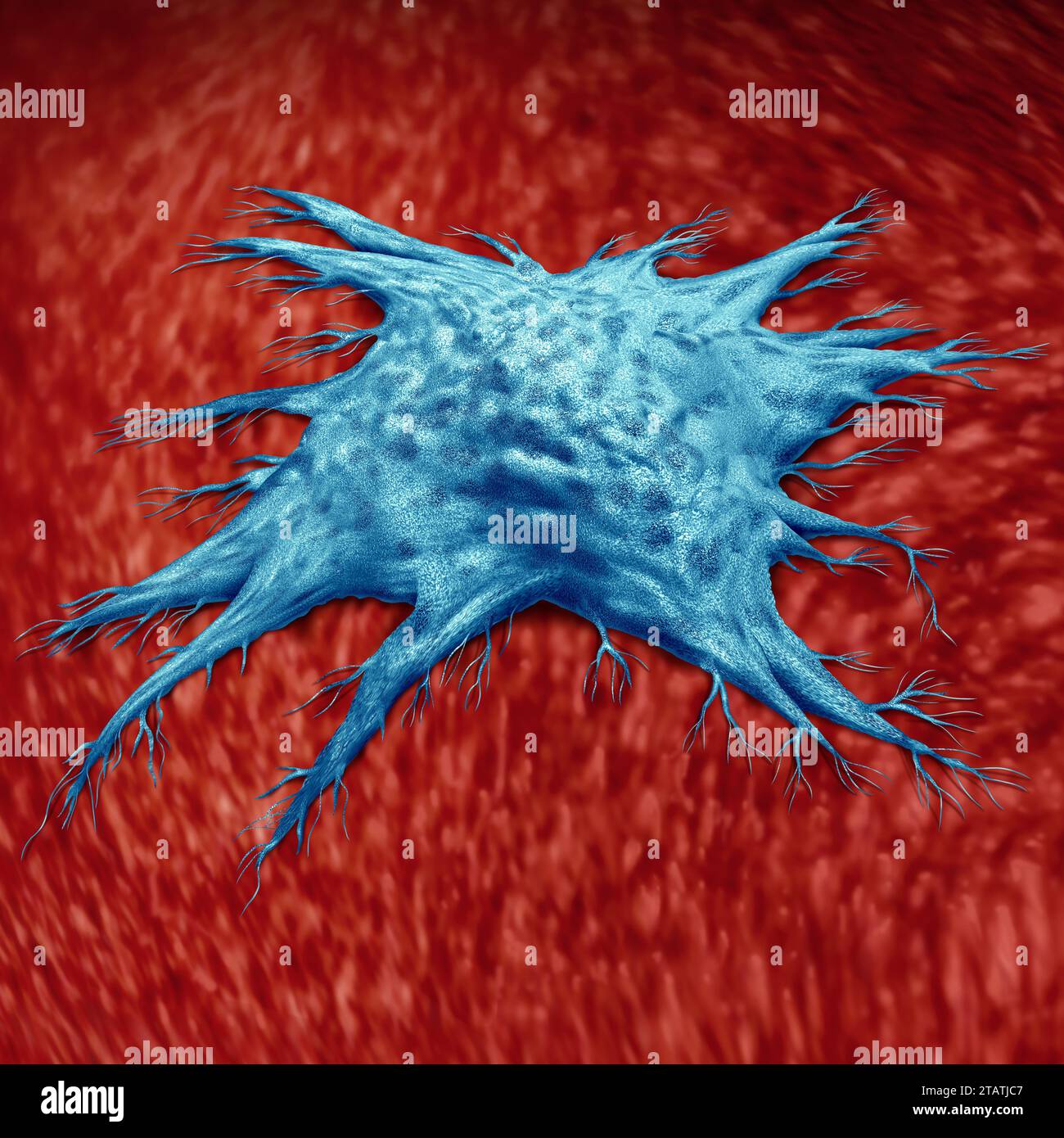 Seneszierende Zelle als Zombiezellen als Symbol für zelluläre Seneszenz und Alterung im lebenden Gewebe als sezernierte Moleküle aus der Zelle können Gewebe reparieren Stockfoto