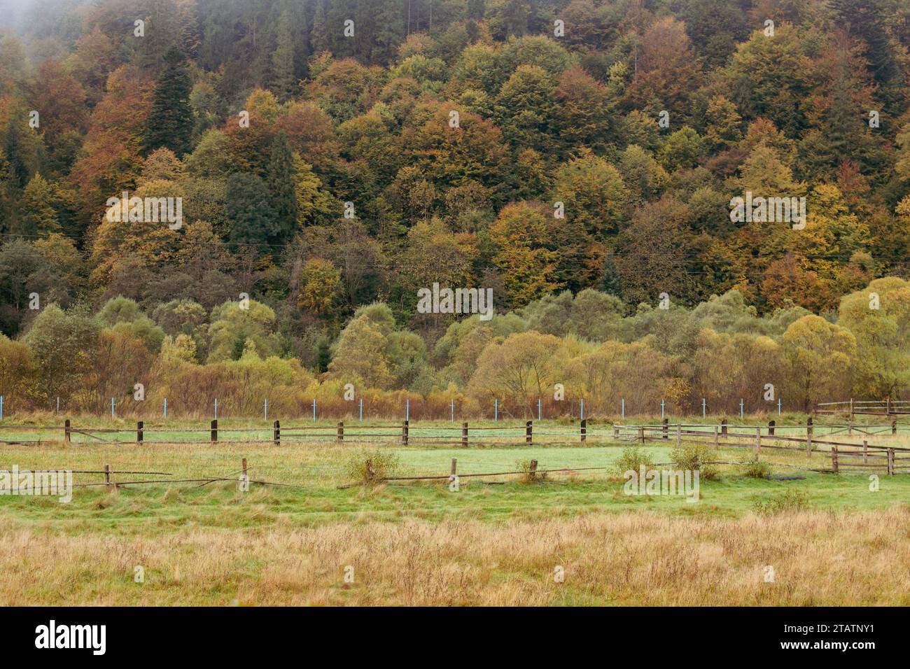 Weide im Herbstgebirge. Tal der Karpaten im Morgennebel. Wiese hinter Holzzaun im Wald, Ukraine. Stockfoto