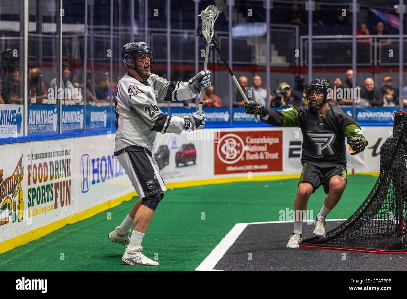 2. Dezember 2023: Dan Taylor (26) von Calgary Roughnecks kommt im zweiten Quartal in einem Spiel gegen die Rochester Knighthawks. Die Rochester Knighthawks waren Gastgeber der Calgary Roughnecks in einem Spiel der National Lacrosse League in der Blue Cross Arena in Rochester, New York. (Jonathan Tenca/CSM) (Bild: © Jonathan Tenca/Cal Sport Media) Stockfoto