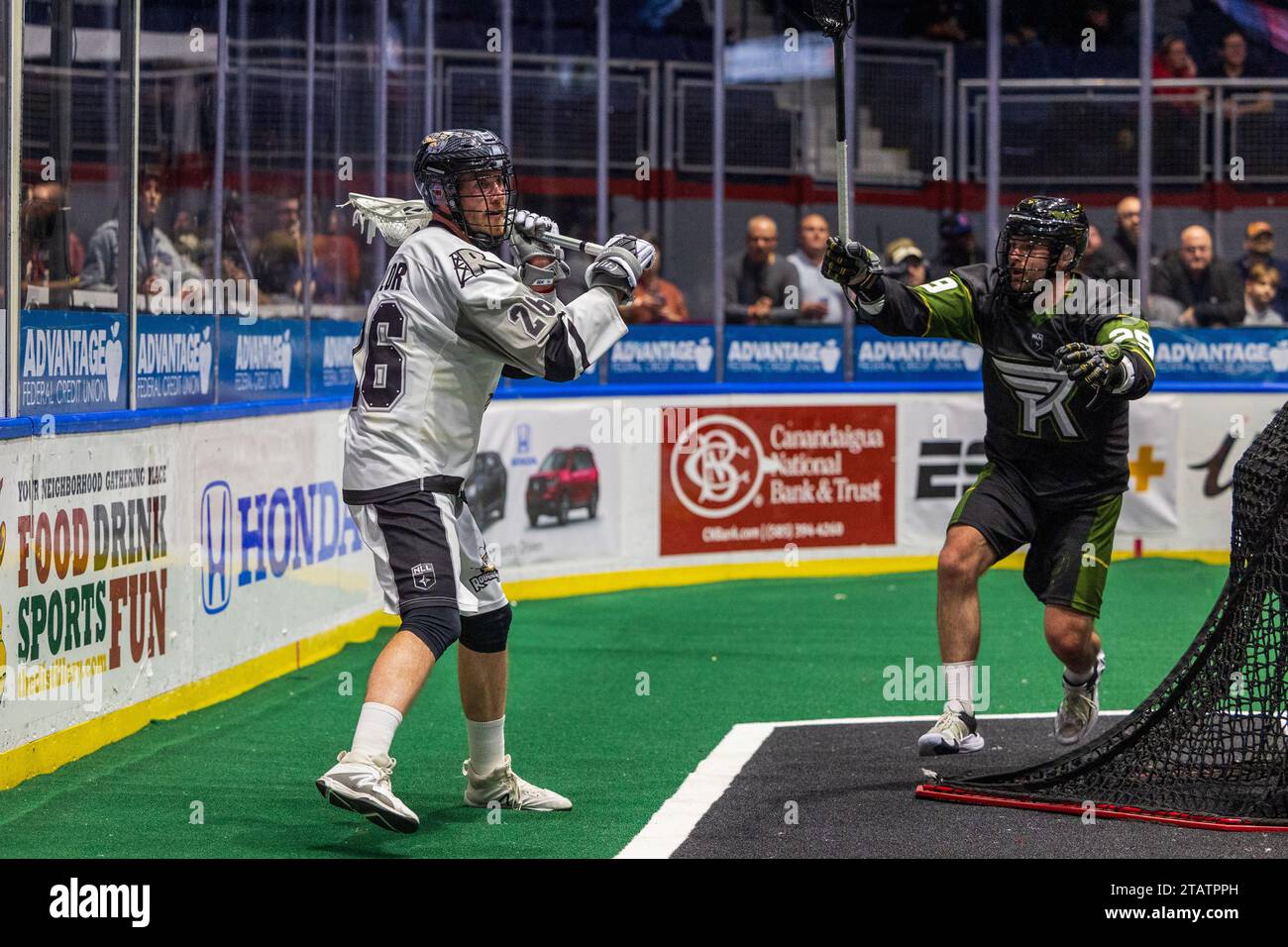 2. Dezember 2023: Dan Taylor (26) von Calgary Roughnecks kommt im zweiten Quartal in einem Spiel gegen die Rochester Knighthawks. Die Rochester Knighthawks waren Gastgeber der Calgary Roughnecks in einem Spiel der National Lacrosse League in der Blue Cross Arena in Rochester, New York. (Jonathan Tenca/CSM) Stockfoto