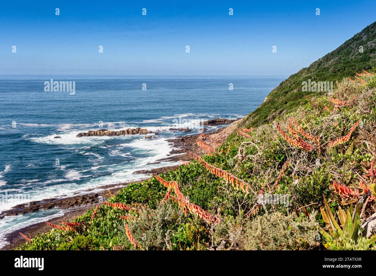 Robberg Wanderweg in Richtung Point, in der Nähe von Plettenberg Bay, Südafrika - Robberg Naturschutzgebiet Stockfoto