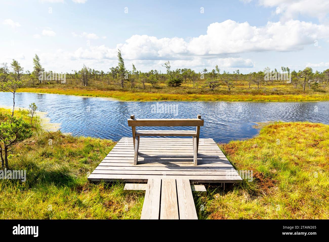 Holzbank in einem Kemeri Nationalpark an einem sonnigen Sommertag, umgeben von Moos, Kiefern, tiefen Pools, winzigen dunklen Seen, Lettland Stockfoto