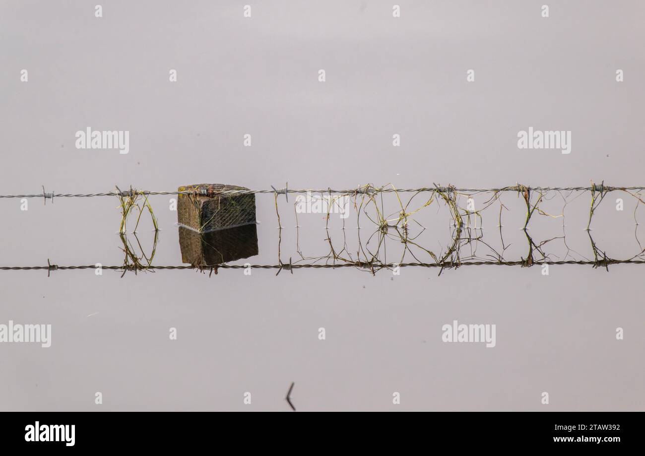 Feldbegrenzungszaun tauchte nach starkem Regen und Flut fast ganz oben unter. Küstenweide, Hants. Stockfoto