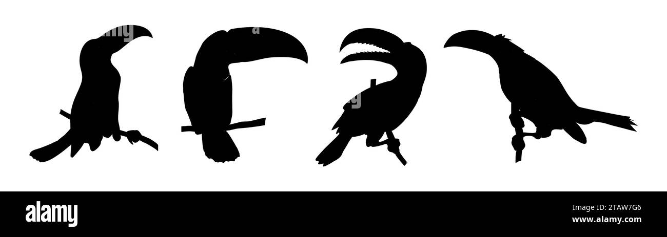 Satz von schwarzen Silhouetten des Tukan-Vektors isoliert Stock Vektor