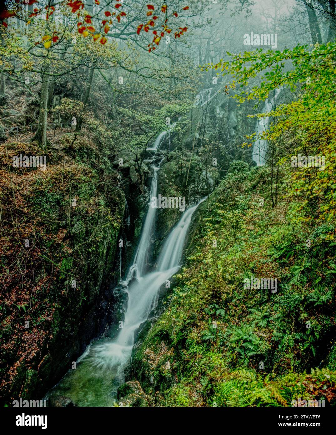 Stockghyll Wasserfall in der Nähe von Ambleside, Cumbria, England, Großbritannien Stockfoto