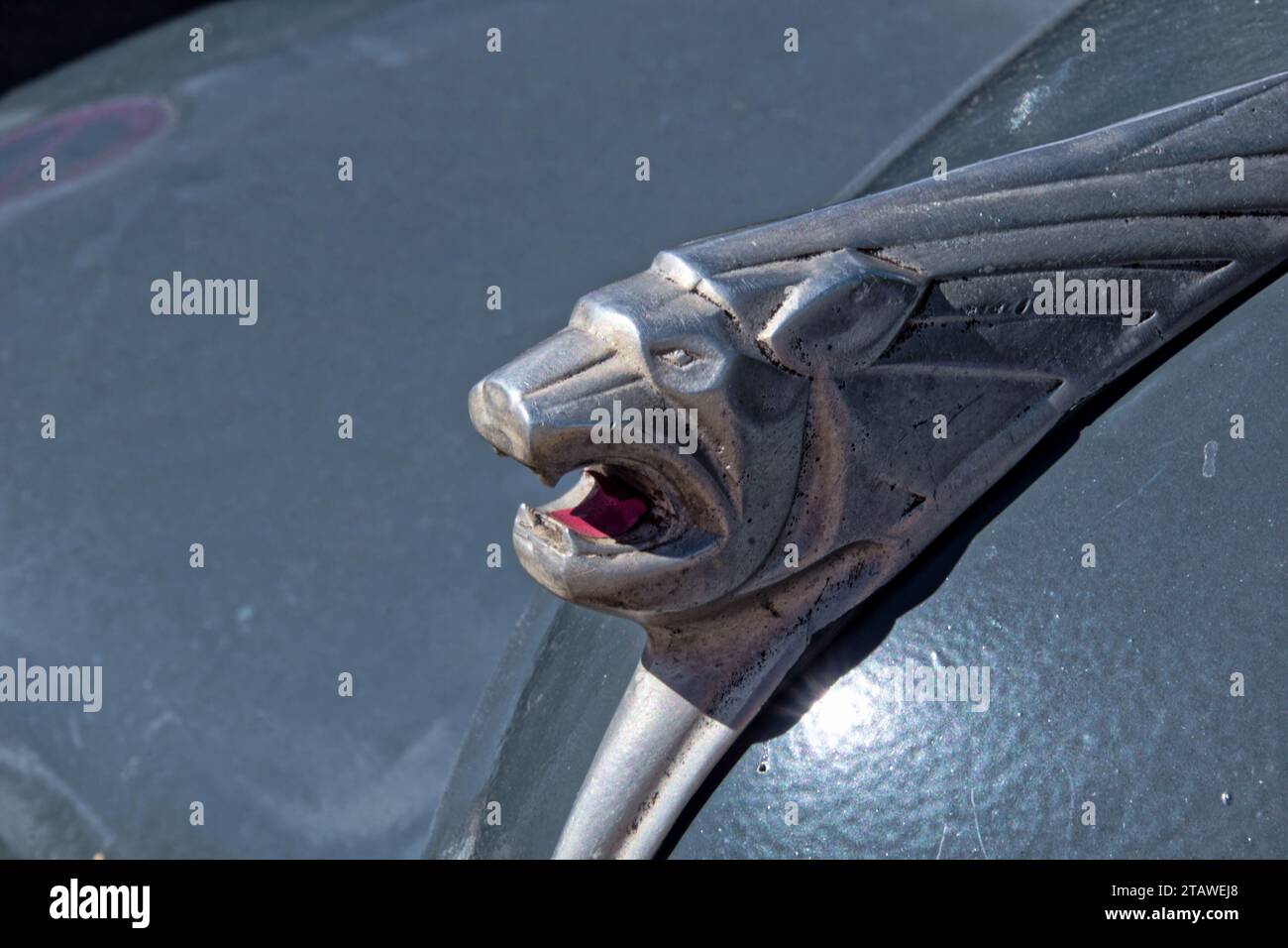 Capot avant et emblème du Lion de la 203 peugeo – Kapuze und Löwenemblem für den peugeot von 203 Stockfoto