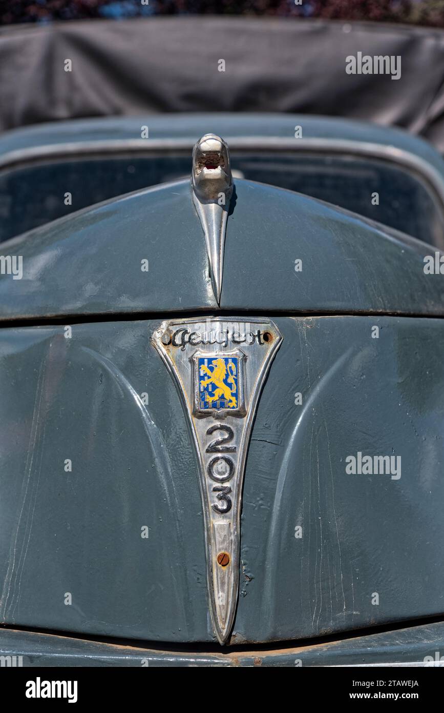 Capot avant et emblème du Lion de la 203 peugeo – Kapuze und Löwenemblem für den peugeot von 203 Stockfoto
