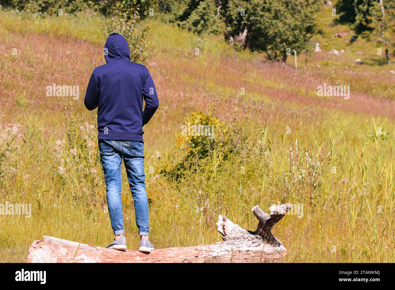 Ein unbekannter junger Mann mit einem Hoodie, der von hinten geschossen wurde. Stockfoto