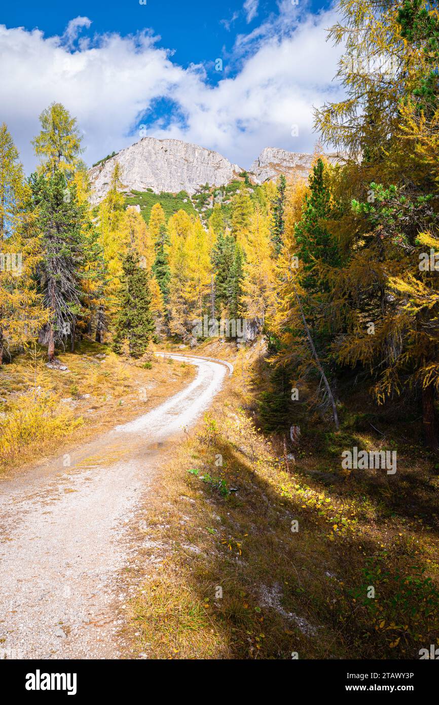 Wanderweg in den Dolomiten im Herbst Stockfoto