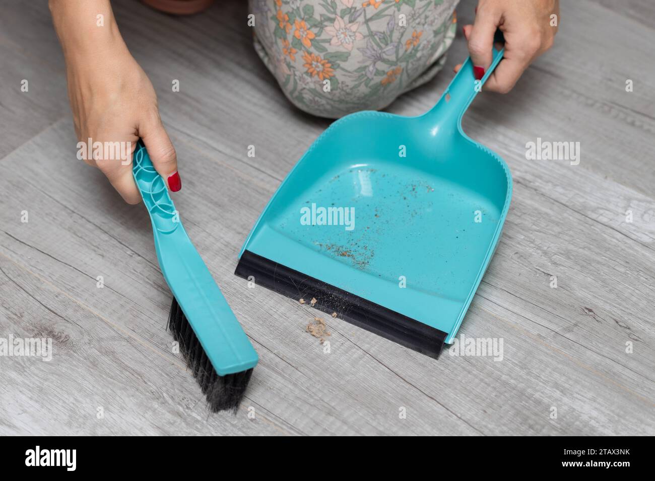 Frau fegt Müll mit einer Bürste in den Mülleimer. Bodenreinigung im trockenen Haus. Müll in einer Mülleimer. Stockfoto