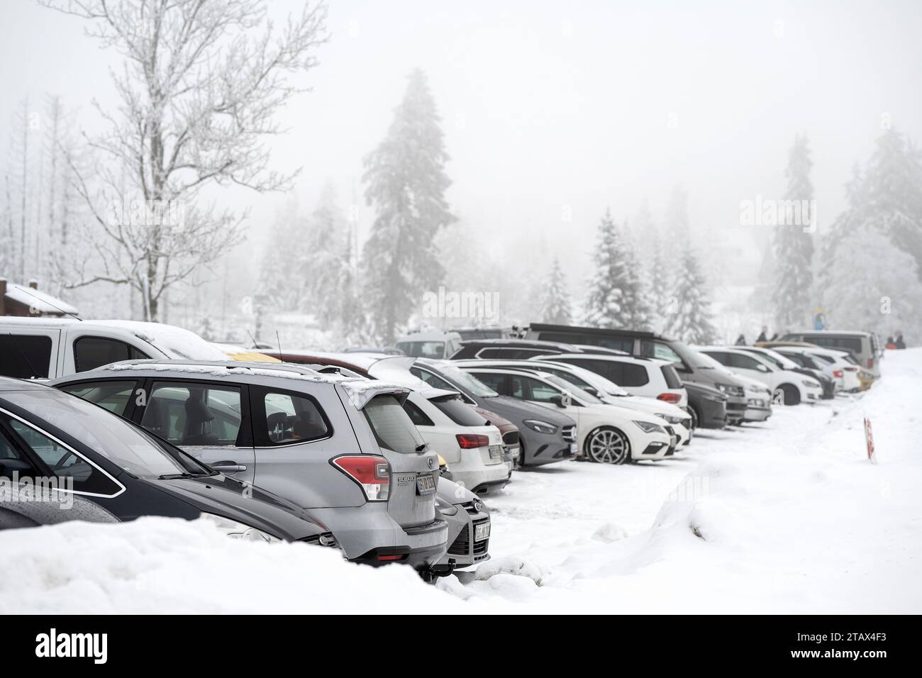 St. Andreasberg, Deutschland. Dezember 2023. Parkplätze stehen in einer Parkbucht im Harz. Skifahrer und Rodelfahrer beginnen am 1. Adventsabend im Harz die neue Schneesaison. Quelle: Swen Pförtner/dpa/Alamy Live News Stockfoto