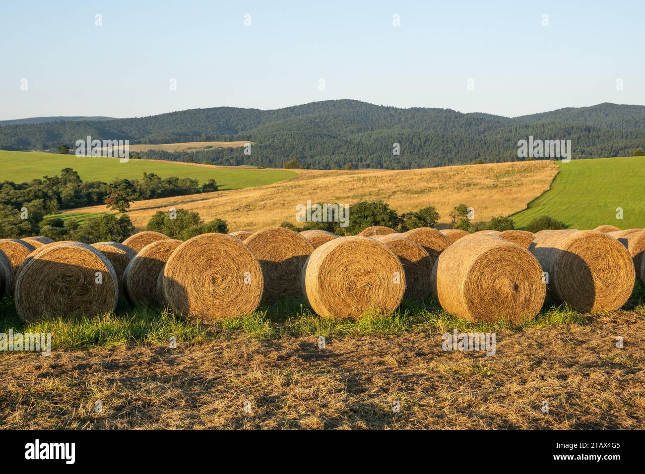 Runde Heuballen auf dem Feld nach der Ernte in den Bieszczady Mountains. Ostkarpaten, Polen, Europa. Stockfoto