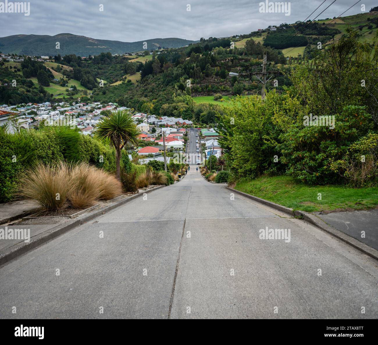 Baldwin Street, Dunedin, New Zealand, Steepest Straße der Welt. Stockfoto