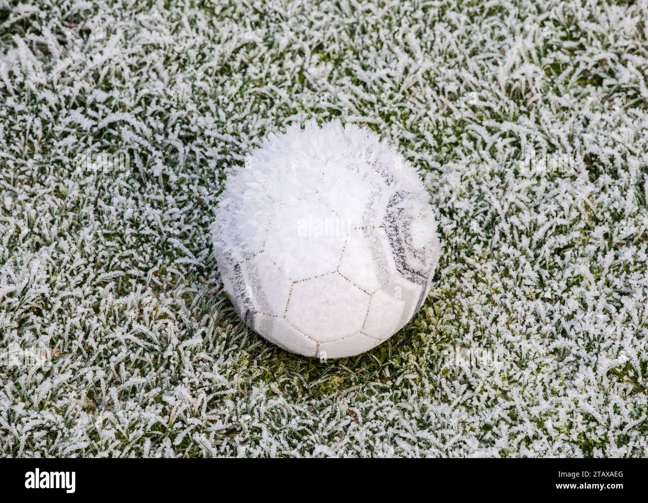 Gefrorener Fußball auf einem gefrorenen Feld, das im Winter von Eis und Frost bedeckt ist. Stockfoto