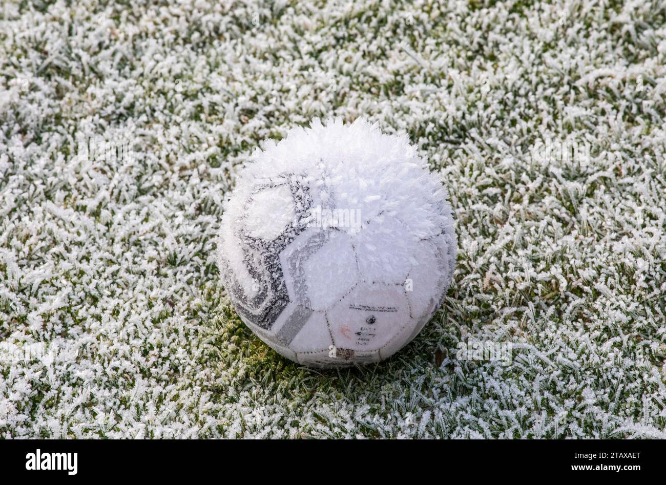 Gefrorener Fußball auf einem gefrorenen Feld, das im Winter von Eis und Frost bedeckt ist. Stockfoto