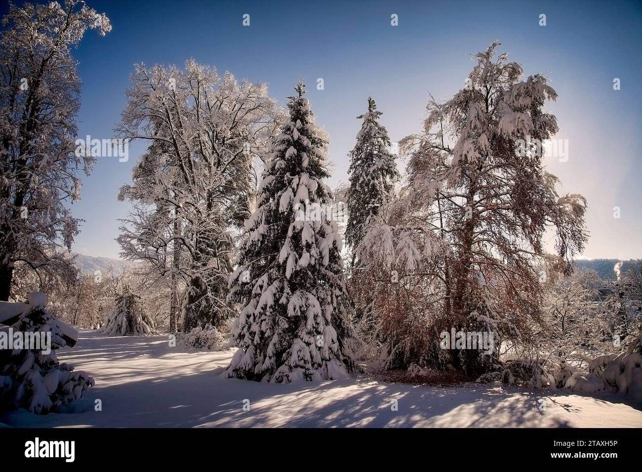 DE - BAYERN: Winterszene im Isartal in Bad Toelz, Oberbayern Stockfoto