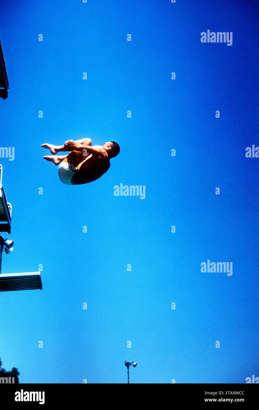 LOS ANGELES, KALIFORNIEN – 20. JULI: Joaquin Capilla (1928–2010) aus Mexiko taucht während der Senior Men's National A.A.U. Diving Championships am 20. Juli 1955 in Los Angeles, Kalifornien. (Foto von Hy Peskin) *** örtlicher Bildtitel *** Joaquin Capilla Stockfoto