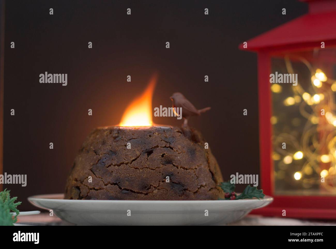 Festlicher Weihnachtspudding, der die Tradition zeigt, ihn mit Brandy in Brand zu setzen Stockfoto