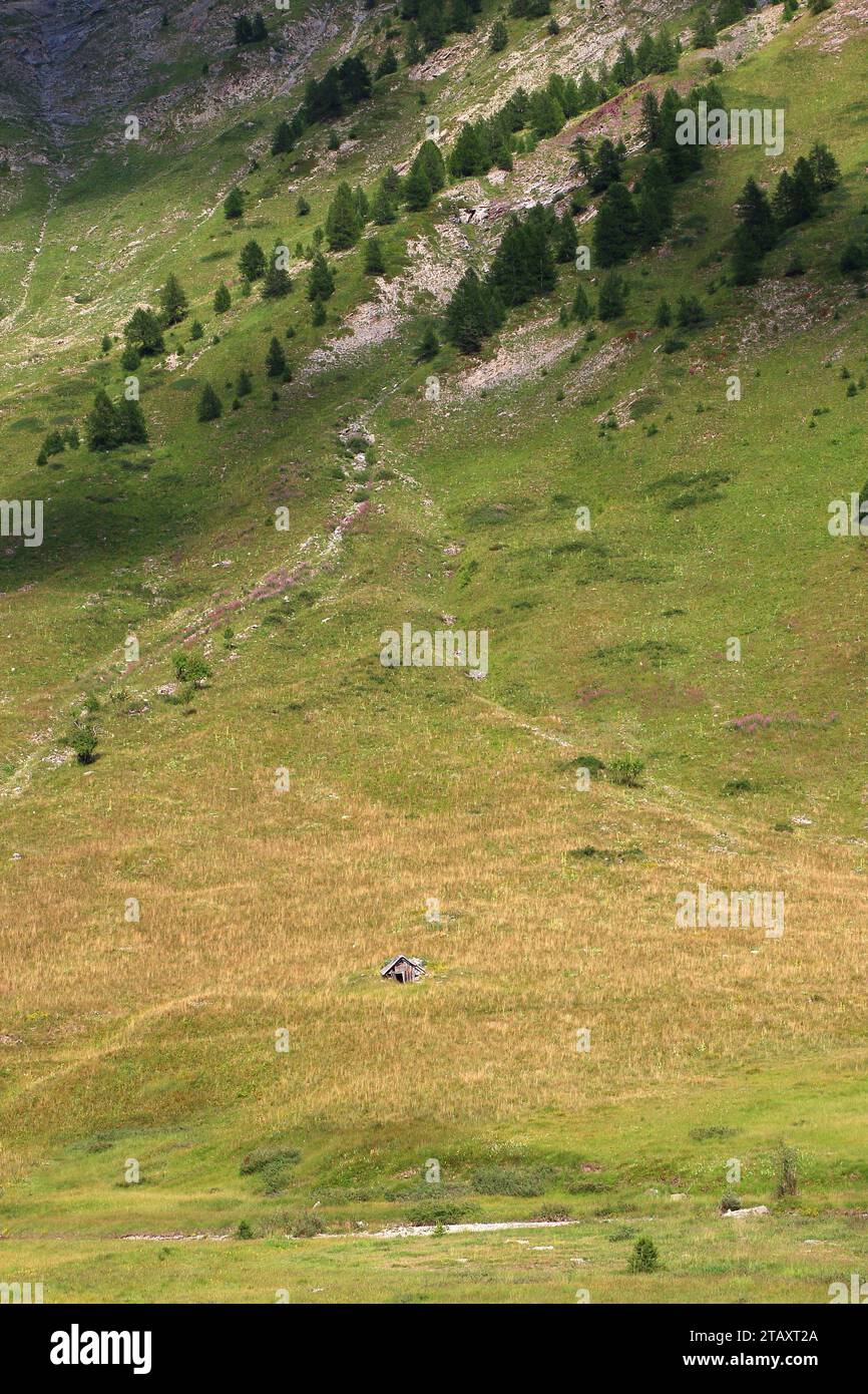 Eine kleine Hirtenhütte, halb im Boden begraben, am Fuße einer Klippe, die mit Tannen bedeckt ist, im Lauzanier-Tal (Ubaye-Tal, Mercantour) Stockfoto