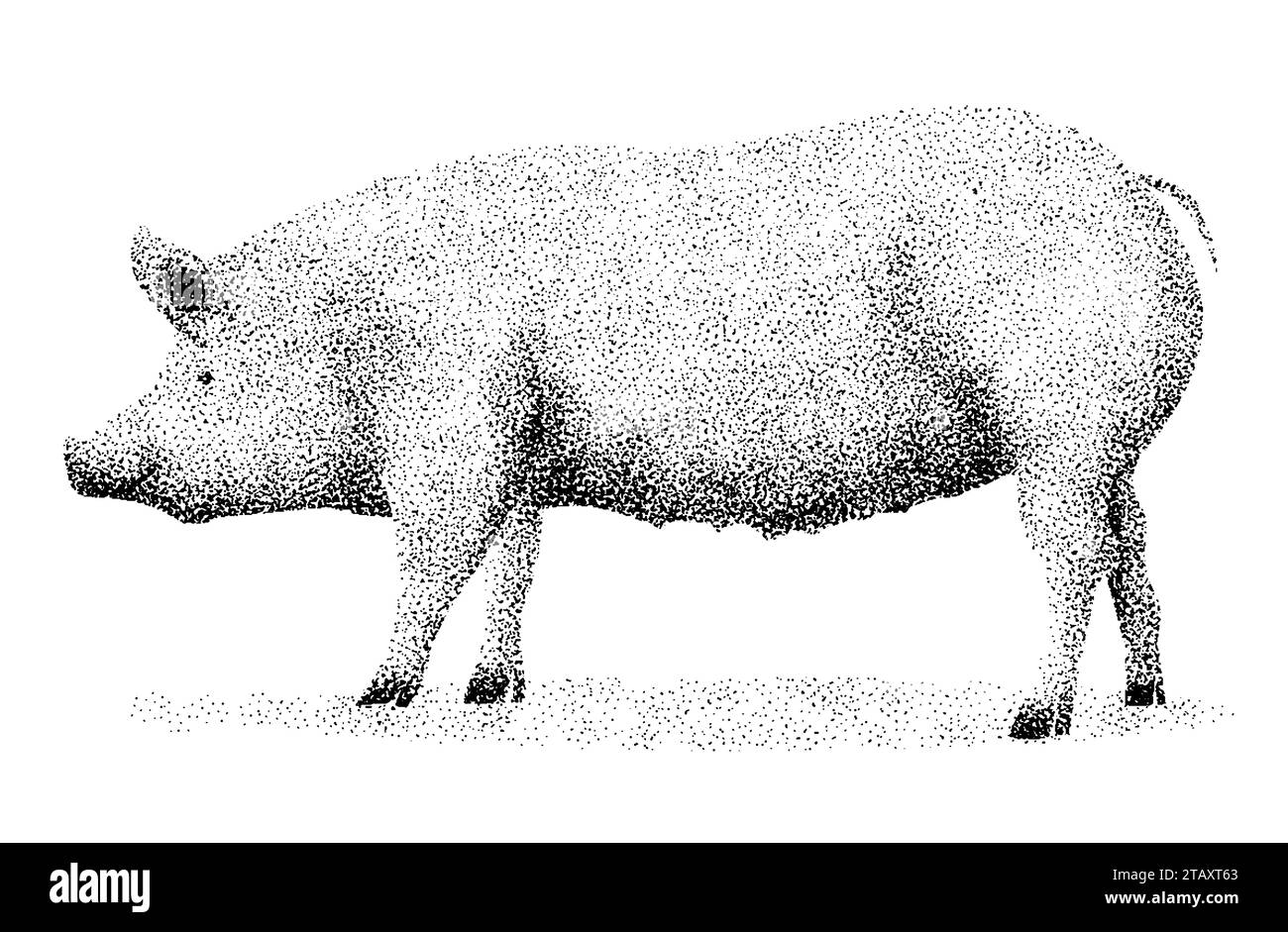 Pointillismus. Zeichnung eines Schweins Stock Vektor