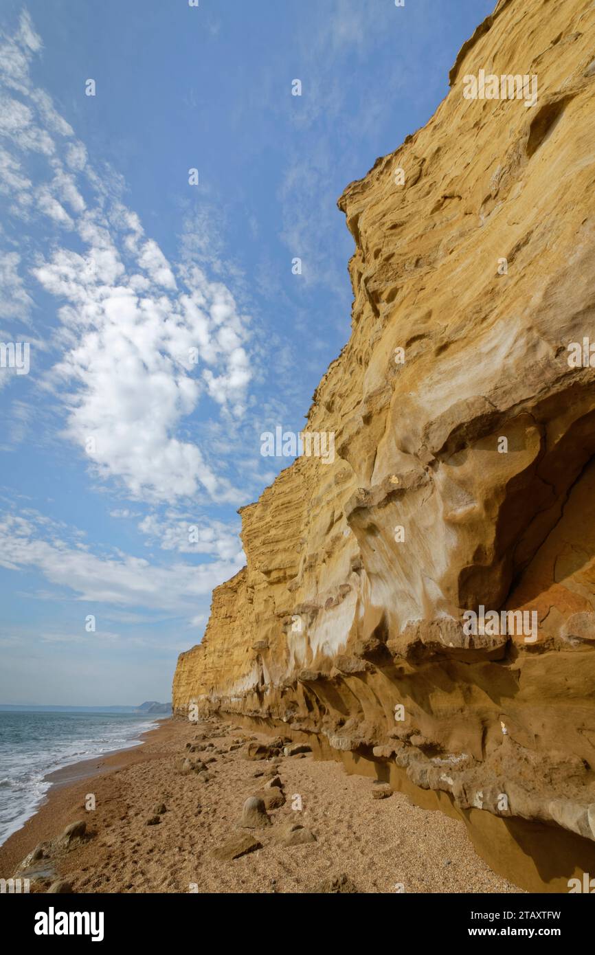 Erodierte gelbe Sandsteinklippen der Burton Cliff oberhalb Hive Beach, Burton Bradstock, Dorset, Großbritannien, August 2023. Stockfoto