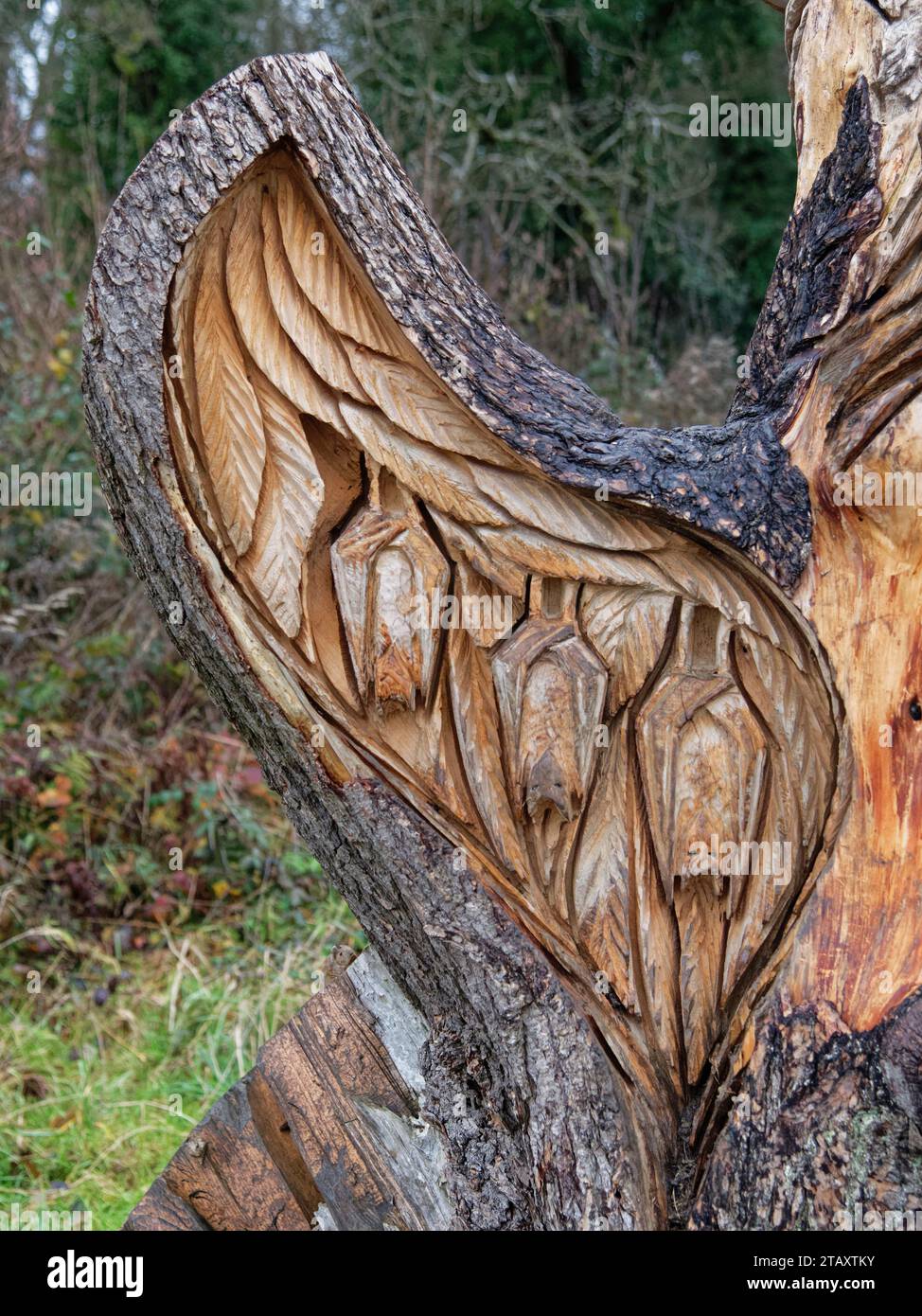 Fledermaus Roost Holzschnitzerei von Andy O’Neill, Teil des Skulpturenwegs im Stoke Park, Bristol, Großbritannien, Januar 2023. Stockfoto
