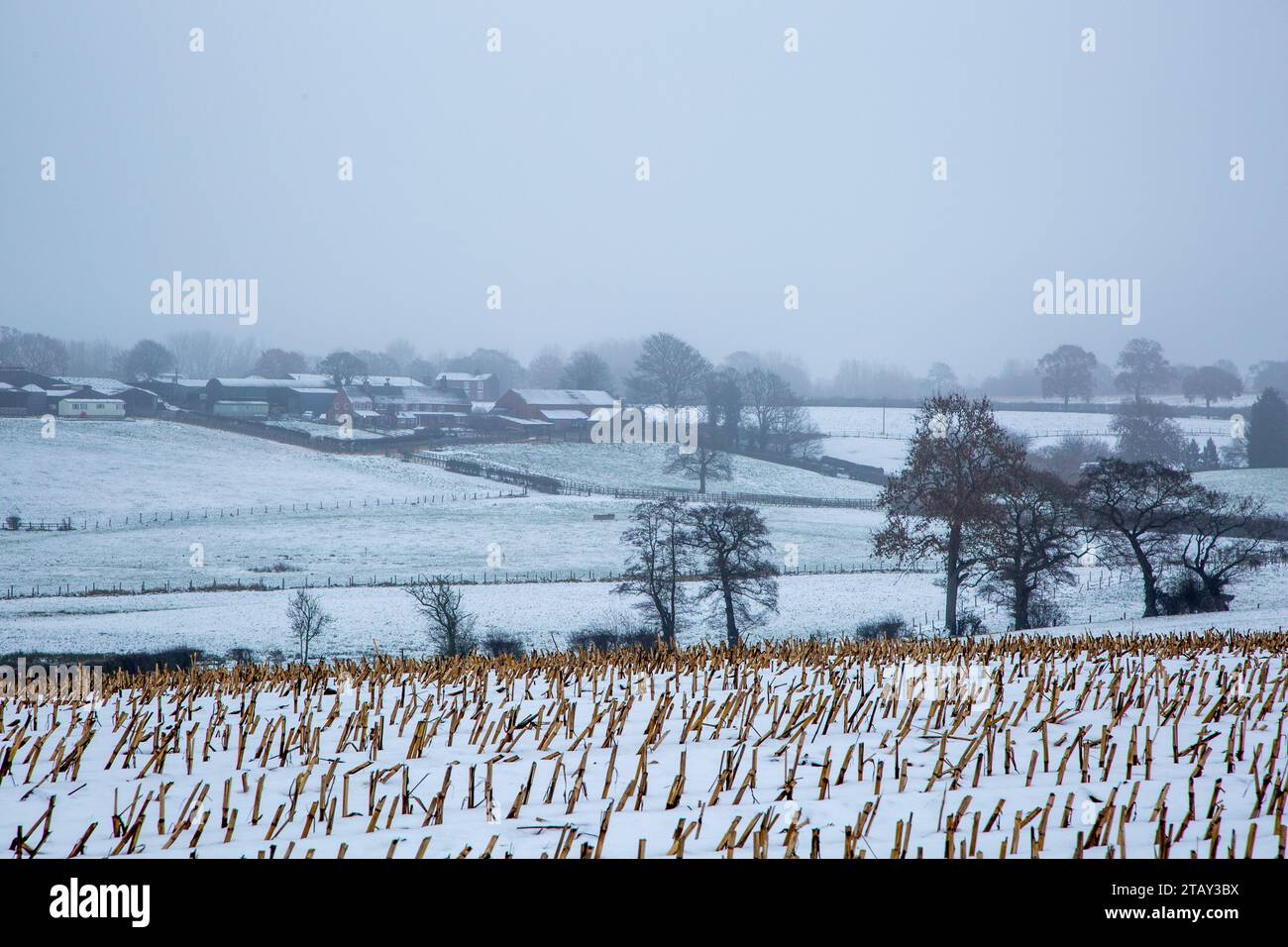 Bauernhof und Bauernhof in einer schneebedeckten kalten nebligen schneebedeckten Cheshire Landschaft im Winter 2023 in Sandbach England Großbritannien Stockfoto