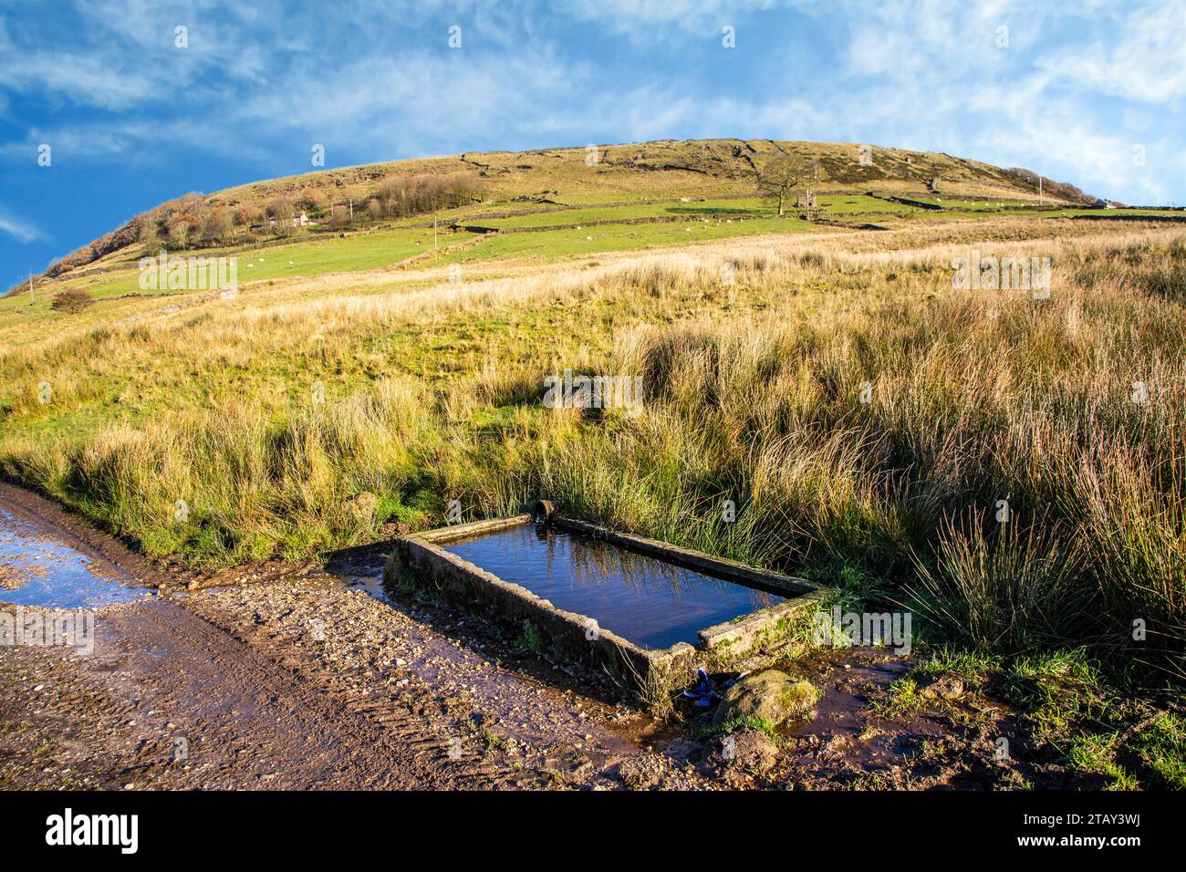 Traditionelle Rinderrinne aus Stein im Cheshire English Peak District in der Nähe von FASH Stockfoto