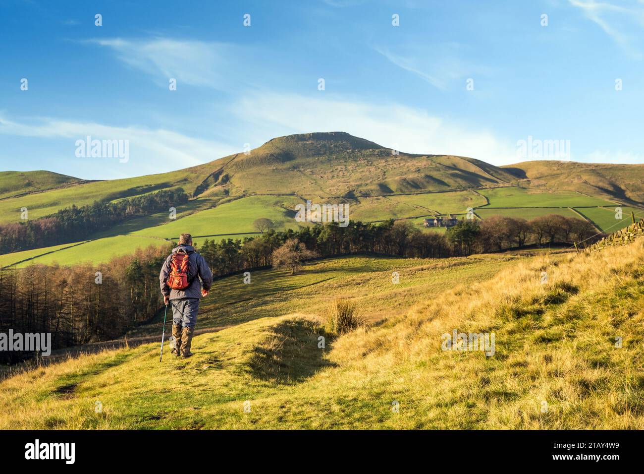 Mann, der in Richtung des Cheshire Mini Mountain Shutlingsloe im White Peak District in England, Großbritannien, läuft Stockfoto