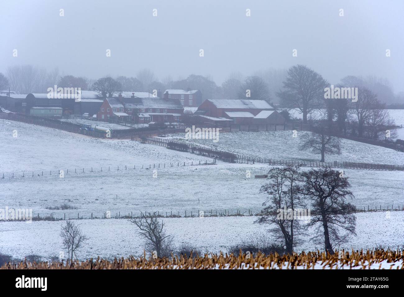 Bauernhof und Bauernhof in einer schneebedeckten kalten nebligen schneebedeckten Cheshire Landschaft im Winter 2023 in Sandbach England Großbritannien Stockfoto